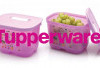 Tupperware: Dari Brand Ikonik ke Ambang Kebangkrutan di Usia 78 Tahun