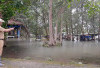 Banjir Rob Terparah Terjang Pantai Tanjungpendam, Waspada Air Laut Naik Lebih Tinggi