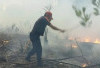 Kebakaran Lahan di Pangkalalang Berhasil Dipadamkan, Berkat Aksi Sigap Damkar BPBD Belitung