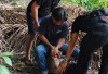 Bocah 14 Tahun Tewas Ditikam, Pulang dari Toko Bersimbah Darah