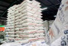 Stok Beras Nasional Surplus 14,48 Juta Ton, Kementan Pastikan Aman untuk Ramadan